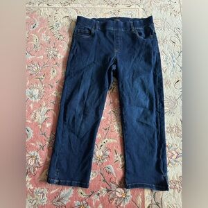 TROVARE Dark Wash Cropped Denim Jeans Below-Knee Length Classic Straight Fit L/G